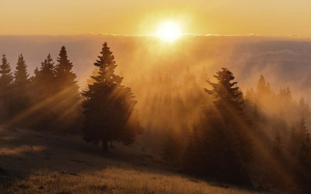 نور علی نور Light upon Light